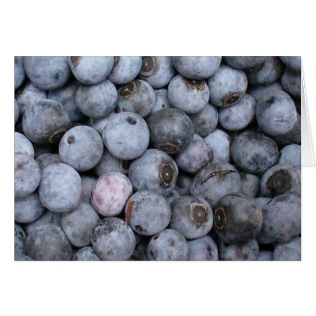 Blueberries (Front Horizontal)