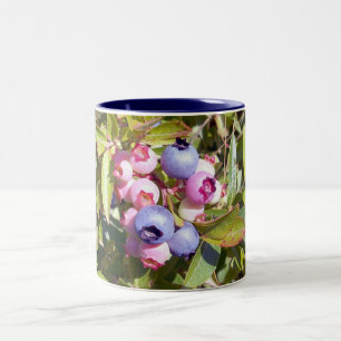 Blueberries 1 Mug