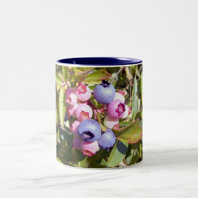 Blueberries 1 Mug (Center)