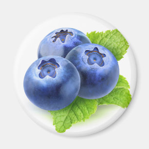 Blueberries and mint magnet