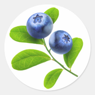 Blueberries Classic Round Sticker