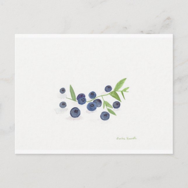 Blueberries fruit kitchen decor postcard (Front)