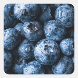 Blueberries Fruit Square Sticker