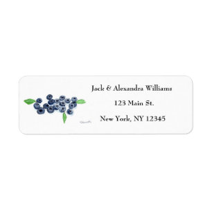 Blueberries Fruits bleuets Feuilles nature fraîche