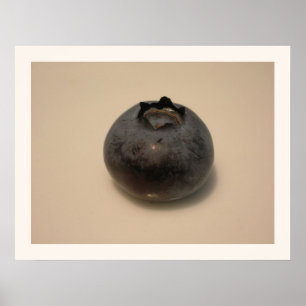 Blueberries I have Known 14 Poster