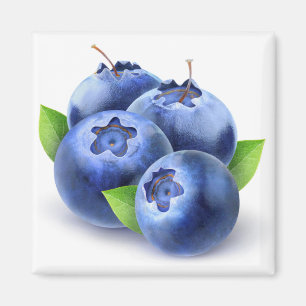 Blueberries Magnet