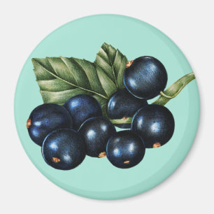 Blueberries Magnet