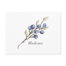 Blueberries on Branch