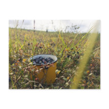 Blueberries on the Alaska tundra