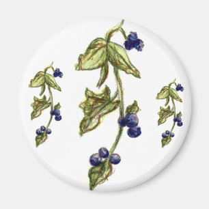 Blueberries On Vine Magnet