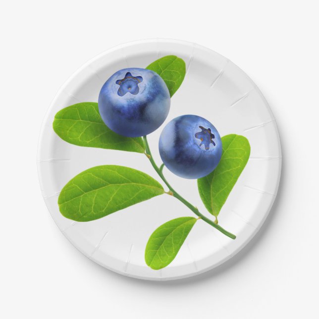 Blueberries Paper Plate (Front)