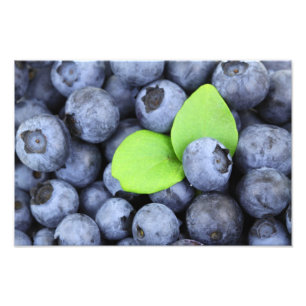 Blueberries Photo Print