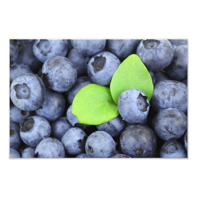Blueberries Photo Print (Front)