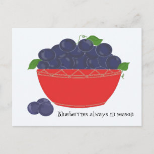 Blueberries Postcard