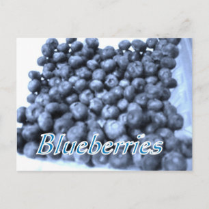blueberries postcard