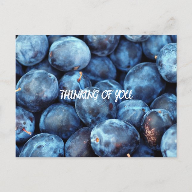 BLUEBERRIES POSTCARD (Front)