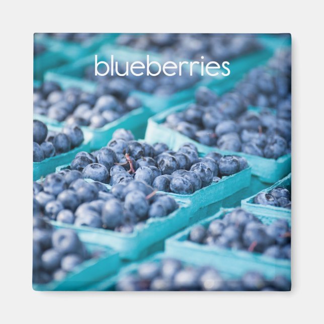 Blueberries Refrigerator Magnet (Front)