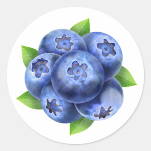 Blueberries round composition classic round sticker