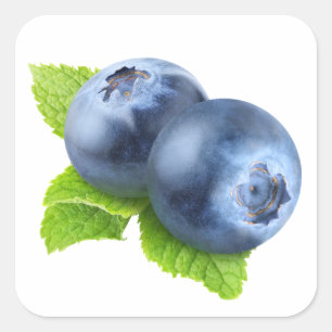 Blueberries Square Sticker