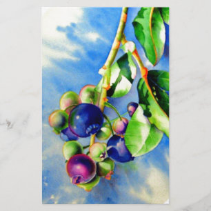 Blueberries Stationery