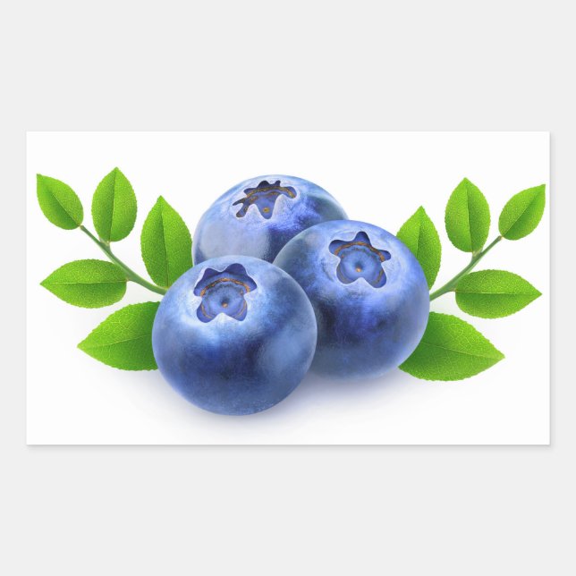 Blueberries Sticker (Front)