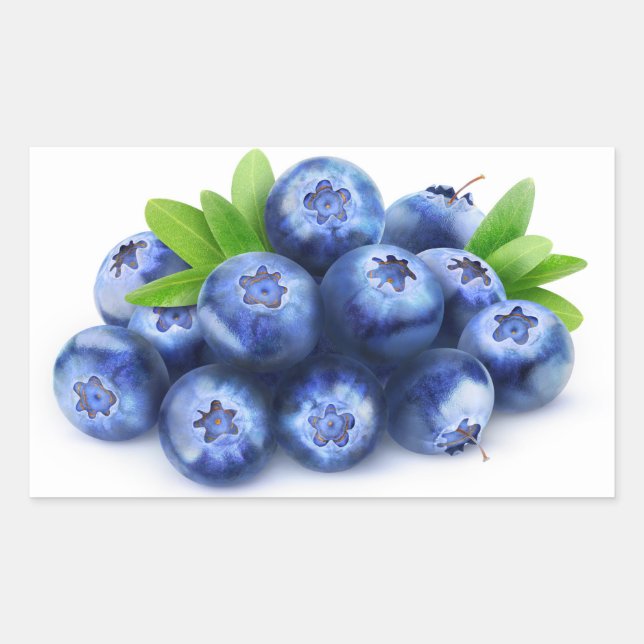 Blueberries Sticker (Front)