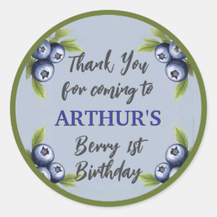 Blueberry 1st birthday baby boy first classic round sticker