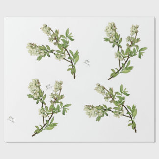 Blueberry blossom wrapping paper