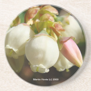 Blueberry Blossoms - Coaster