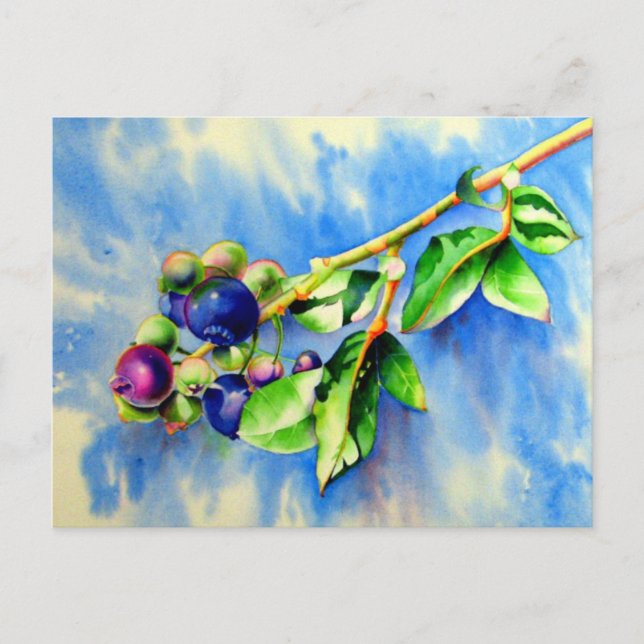 Blueberry branch, watercolor painting postcard (Front)
