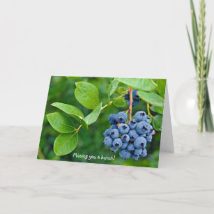blueberry bunch for Missing You Card