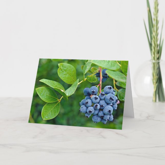 blueberry bunch on bush card (Front)