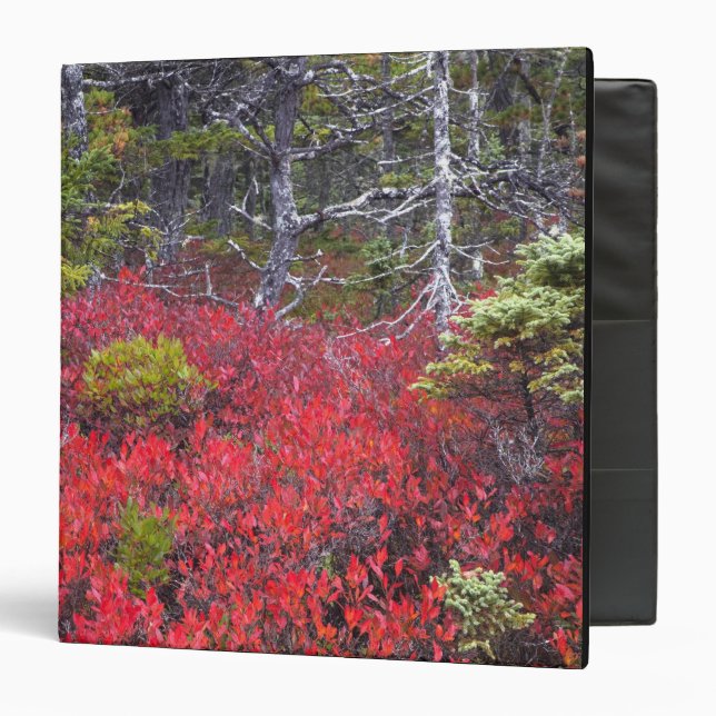 Blueberry bushes and pines binder (Front/Inside)