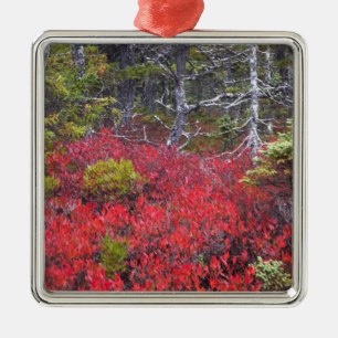 Blueberry bushes and pines metal ornament