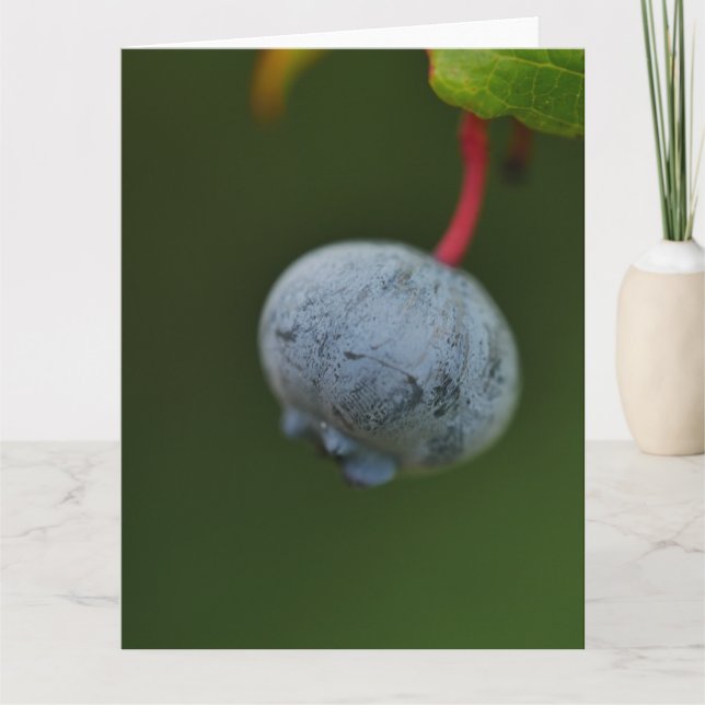 Blueberry Card (Front)