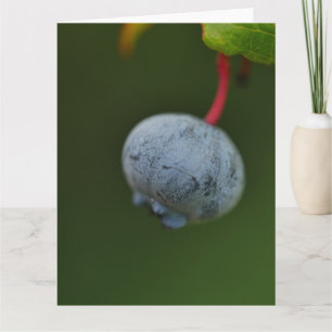 Blueberry Card