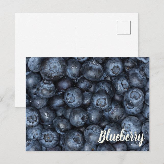 Blueberry Close Up Detail for Vegans Holiday Postcard (Front/Back)