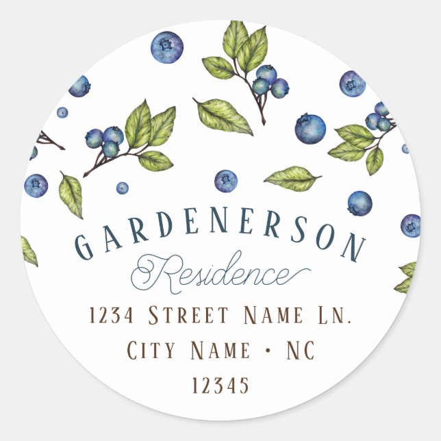 Blueberry Custom Classic Round Sticker (Front)