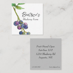 Blueberry Hobby Fruit Farm Business Square Business Card