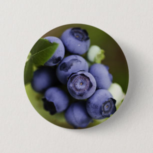 blueberry lover 2 inch round button