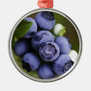 blueberry lover metal ornament