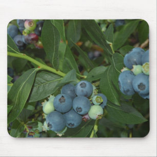 Blueberry Mouse Pad