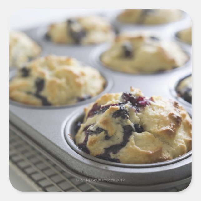 Blueberry muffins in a baking tin on a cooling square sticker (Front)