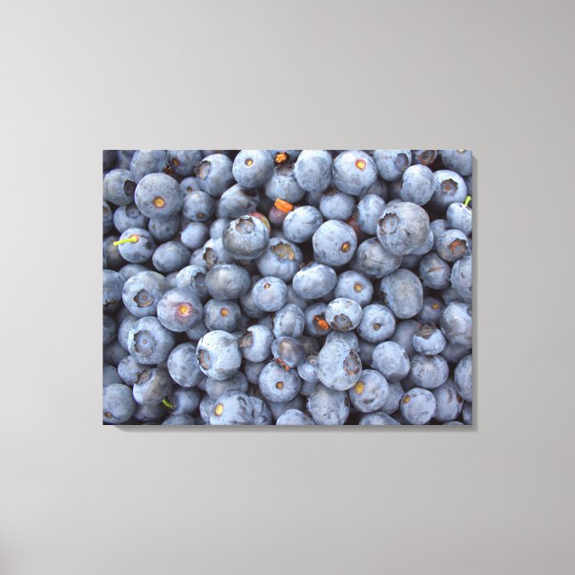 Blueberry photography. canvas print (Front)