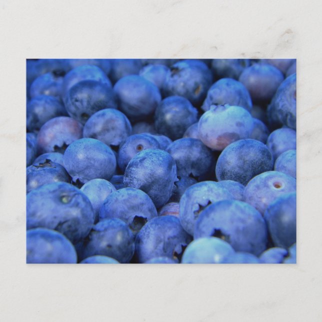 blueberry pile holiday postcard (Front)