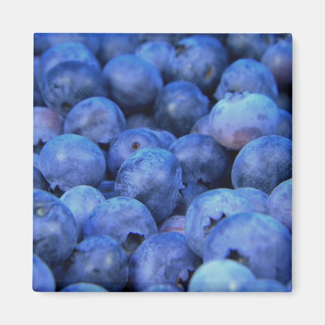 blueberry pile magnet (Front)