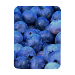 blueberry pile magnet