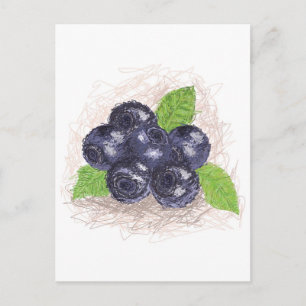 blueberry postcard