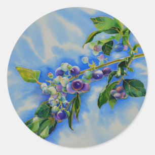 Blueberry watercolor painting classic round sticker