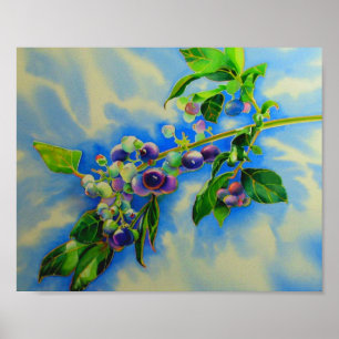 Blueberry watercolor painting poster